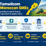 Morocco’s SMEs Gain New Financing Capacity Through IFC–Tamwilcom Partnership